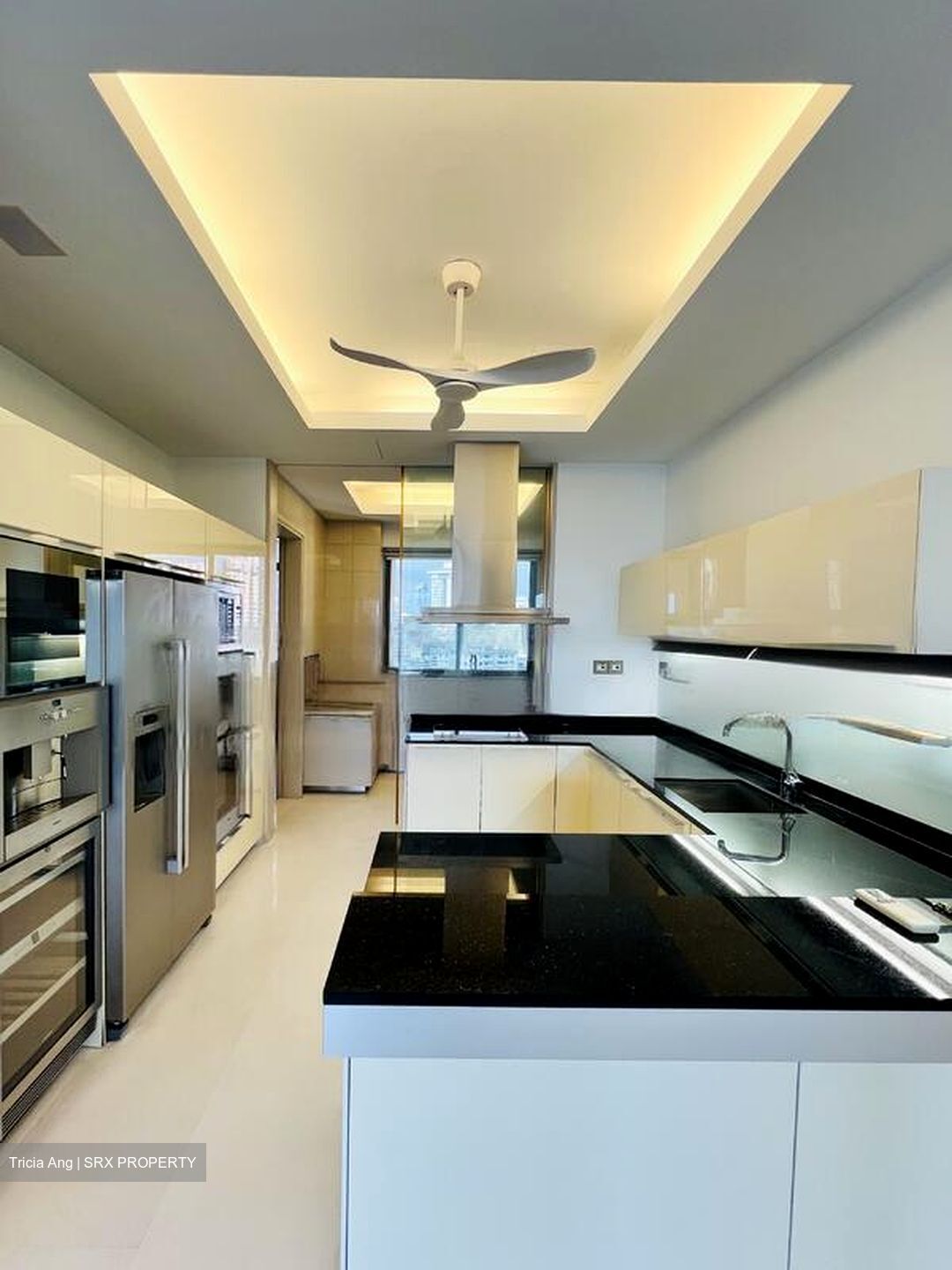 Parkview Eclat (D10), Condominium #476495341